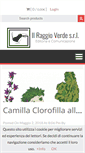 Mobile Screenshot of ilraggioverdesrl.it